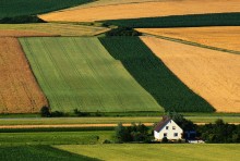 Fields and Farmhouse